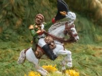 SMALL Napoleonic 36   2018  General Bagration (I think)